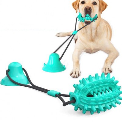 2020 New Amazon Hot Sale Dog Chew Toy TPR Pet Molar Bite Toys With 1 Suction Cup